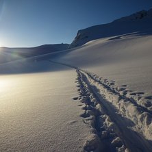 Foto: Patric Carlsson.