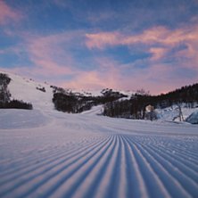 Good morgen 
God morgen ☀️⛷ 
Sola skinner f.