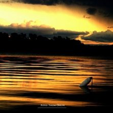 Foto: Thom &Ouml;hlin.