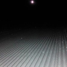 M&aring;neskin og flotte l&oslash;yper.
Flotte forhold i l&oslash;y.