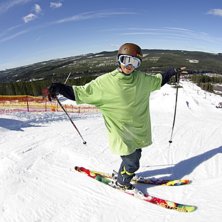hello! and wellcome too my classroom! :O. Foto: a bear. &Aring;kare: Maximilliam Smith.