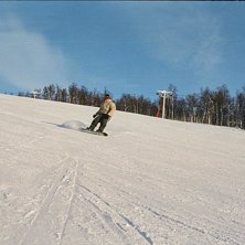 En sk&ouml;n sv&auml;ngom i solen... Foto: Robert A. &Aring;kare: Peter A(Lillebror).