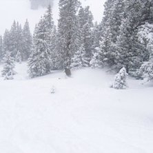 Foto: Fredrik Nybacke. &Aring;kare: Marcus Sandberg.