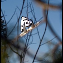 Foto: Kristoffer Lindgren. &Aring;kare: Robin Granqvist.