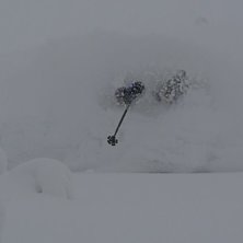 S&auml;len hundfj&auml;llet. Foto: Henrik. &Aring;kare: Filip &Ouml;hrn.