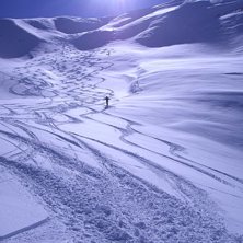 Nerf&ouml;r La cucumelle i Les Grands pr&eacute;s. Foto: Fredrik Blom.