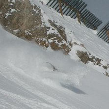 vurpa... Foto: Stefan Eriksson. &Aring;kare: Gustav Brandstedt.