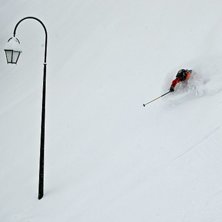 Puder&aring;kning i skogen &auml;r v&auml;l inte s&aring; ovanligt m. Foto: Bj&ouml;rn Bonthron. &Aring;kare: Joakim Bergqvist.