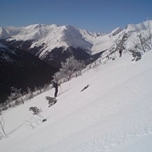 Foto: Eric Niklason.