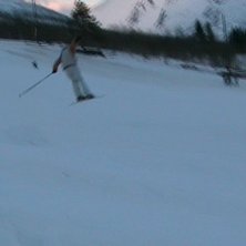 Fin lang 180. Ca 4-5meter lang. Foto: Egil Schistad. &Aring;kare: Arve Schistad.