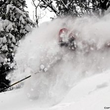 Robban har hittat lite puder. Foto: Erik Hammarsten. &Aring;kare: Robban Axberg.