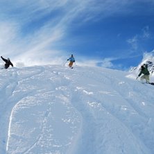 Foto: Anders M&aring;nsson.