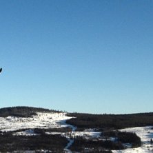 TRuck me teils. Foto: Nalinn Larsson. &Aring;kare: Arvid Larsson.