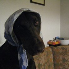 Foto: Sara Ritz&eacute;n. &Aring;kare: isa albrecht.