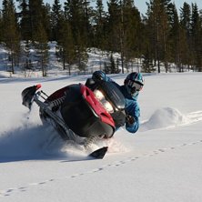 Foto: Klas . &Aring;kare: Hajas.