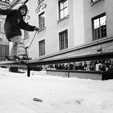 Winter Show i Kungstr&auml;dg&aring;rden 2014.. Foto: Hedda Berander.