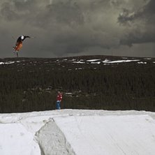 Oxborn hoppet 2011. Foto: Philip Juliusson. &Aring;kare: Henrik Gustafsson.