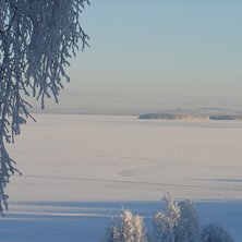 Foto: Carolina Ilestam.