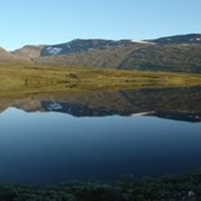 Foto: ulf n&auml;rwall.