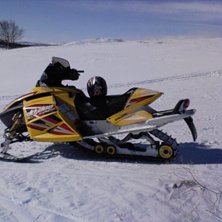 en v&auml;ldigt fin skoter. Foto: ove.