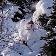 Fett me puder bland stock och sten i kanada. Foto: Bj&ouml;rn Bonthron. &Aring;kare: Fredrik Falkman.
