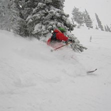 Djupsn&ouml; svinger. Foto: Johan Tapani. &Aring;kare: RAYMOND.