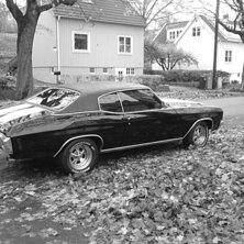 min chevelle. Foto: sebastian forsen.