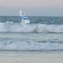 aaj aj...fast det ser nog v&auml;rre ut &auml;n vad det va. Foto: Will Oldfield. &Aring;kare: Johanna Bredberg.
