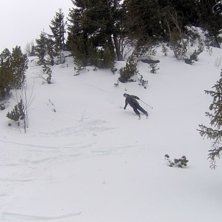 Foto: Palo Gajdos. &Aring;kare: Jan Brejka.