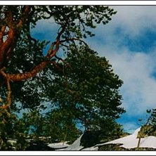 Foto: Mats Honkamaa. &Aring;kare: Roten.