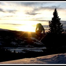 S&auml;g vad ni tycker om mina bilder, det uppskattas.. Foto: Oliver Holm.