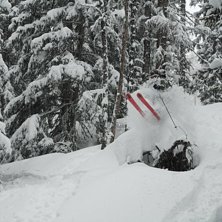 Foto: Tom Telegin. &Aring;kare: Carl Heigard.