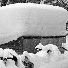 Foto: Oskar Enander.