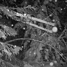 Foto: Linus Stevrin. &Aring;kare: Kristian Engstr&ouml;m.