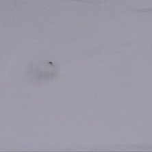 Foto: Liselotte . &Aring;kare: Anders.