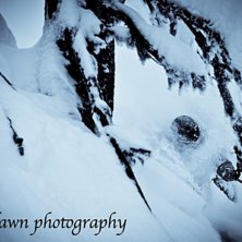 puder.. Foto: Lisa Gover. &Aring;kare: Teodor Day.