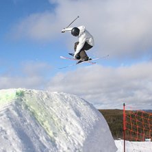 snurr med mute. Foto: Sven Bogg. &Aring;kare: Niklas Bogg.