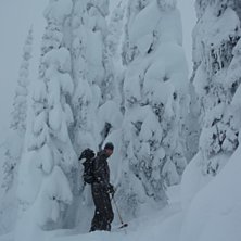 Go fart


. Foto: Magnus Johnson. &Aring;kare: Henrik johansson.