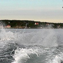 Jag tweakar skiten ur Lahallsviken.... Foto: Albin Oskarsson. &Aring;kare: Erik Oskarsson.