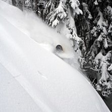 Ingen sn&ouml; i Sverige.
Ganska gott om det i Kanada. Foto: Henrik Karlsson. &Aring;kare: Tobias Gustafsson.