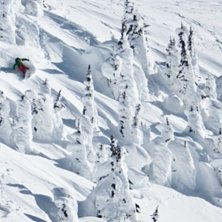 Foto: Nils Nilsson. &Aring;kare: Robert Jarlen&auml;s.