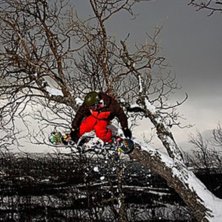 tr&auml;d&aring;k
roadtrip08. Foto: Lucas Nilsson. &Aring;kare: Viktor Pettersson.