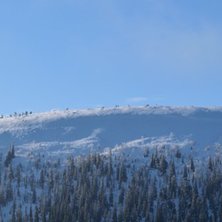 Foto: Henrik Andersson.