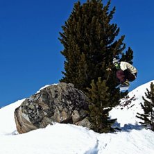 Hopp med gran. Foto: Robin Ljungqwist. &Aring;kare: Adam Jonsson.