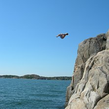 Foto: Sven. &Aring;kare: Johan Littorin.