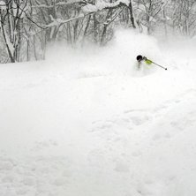 Foto: Kim S&auml;rman. &Aring;kare: Karl Stj&auml;rne.