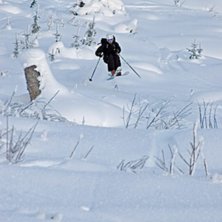 Alexis stutsar ner f&ouml;r hygget som man skulle beh�. Foto: Bj&ouml;rn Bonthron. &Aring;kare: Alexis.