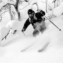 Skogen i ramis &auml;r trevlig. Foto: Petteri Koste. &Aring;kare: Henrik Mideroos.