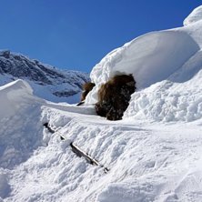 Transporten hem. Uppe p&aring; trappr&auml;cket, inga konst.