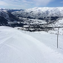 S&oslash;ndag 24 april, nydeleg ver og f&oslash;re
S&oslash;ndag ver.